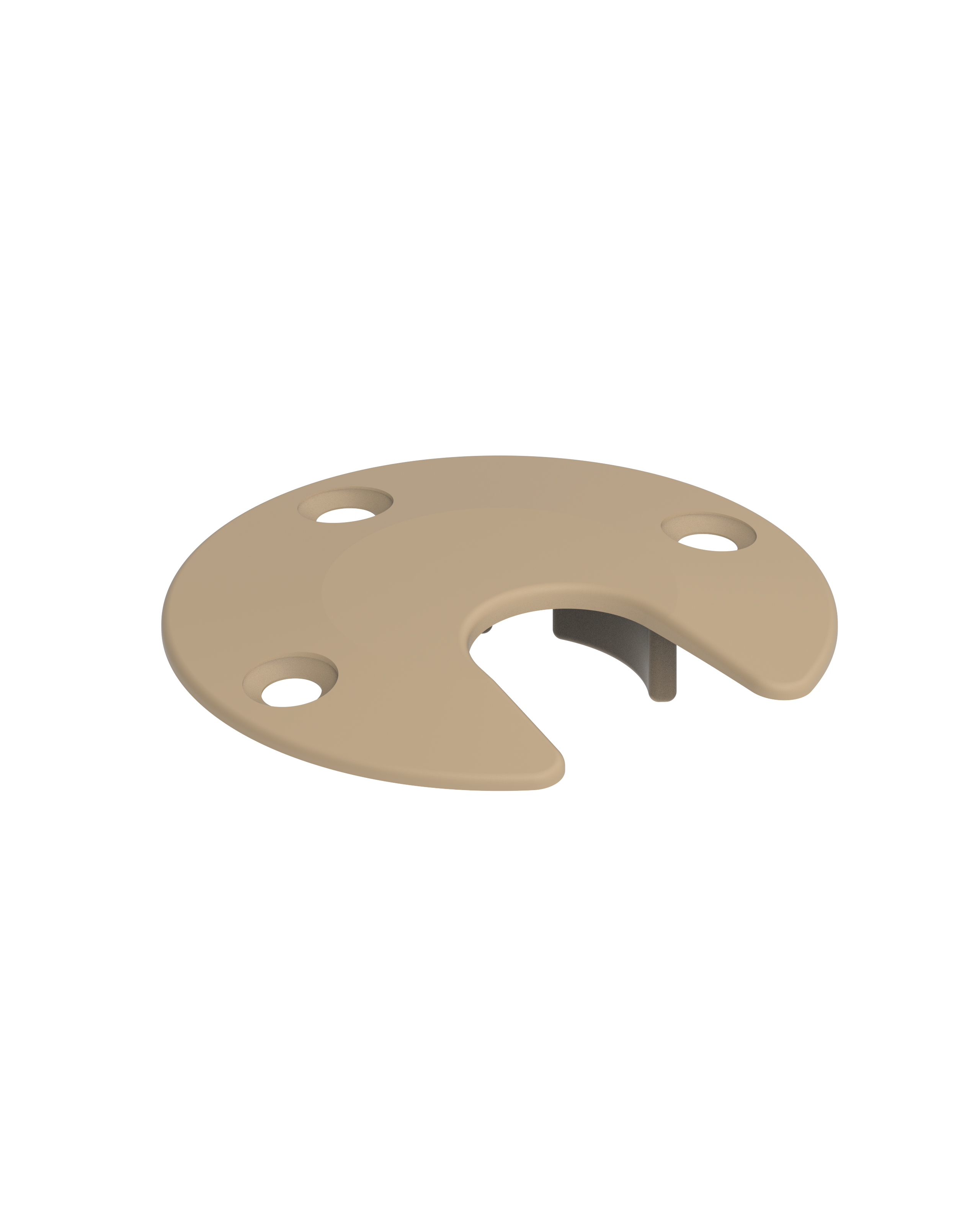 Burr hole cover type 2